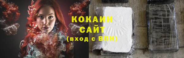 тгк Новокубанск