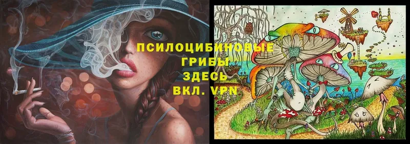 ссылка на мегу сайт  Лосино-Петровский  Галлюциногенные грибы MAGIC MUSHROOMS  наркотики 