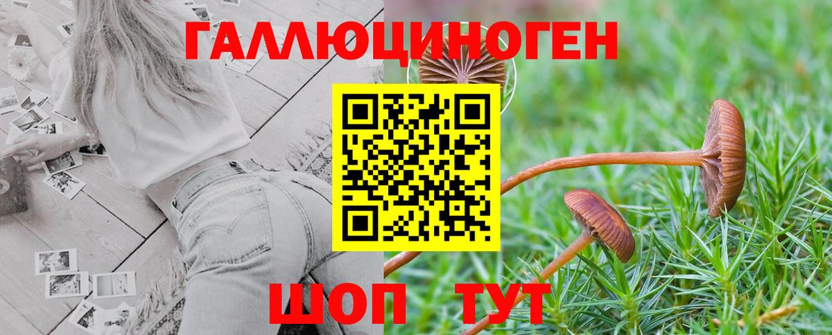 Лосино-Петровский  Псилоцибиновые грибы мухоморы  Вход с VPN 